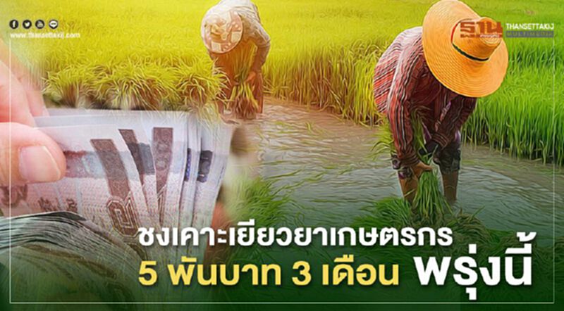 ชงเคาะ"เยียวยาเกษตรกร" 5 พันบาท 3 เดือน บรรเทาพิษโควิด-19 ชงเคาะ"เยียวยาเกษตรกร" 5 พันบาท 3 เดือน บรรเทาพิษโควิด-19
