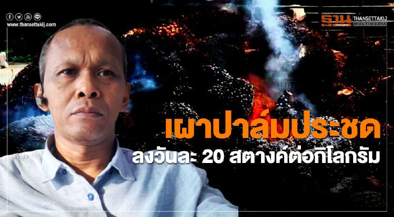 เผาปาล์มประชดลงวันละ 20 สตางค์ต่อกิโลกรัม