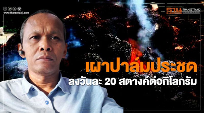 เผาปาล์มประชดลงวันละ 20 สตางค์ต่อกิโลกรัม เผาปาล์มประชดลงวันละ 20 สตางค์ต่อกิโลกรัม