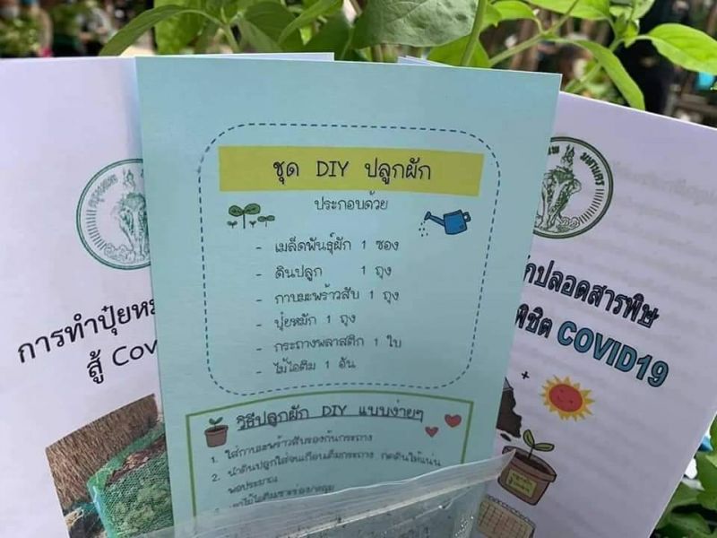 กทม.แจกต้นกล้า ผักสวนครัว 2 หมื่นต้น
