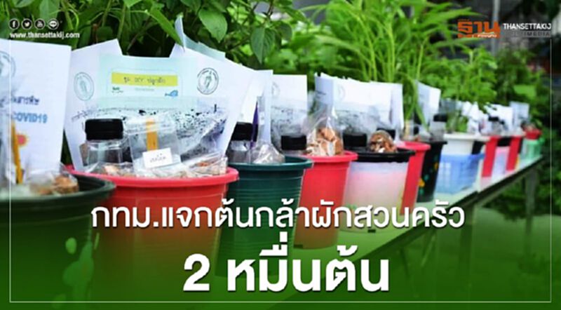 กทม.แจกต้นกล้า ผักสวนครัว 2 หมื่นต้น กทม.แจกต้นกล้า ผักสวนครัว 2 หมื่นต้น