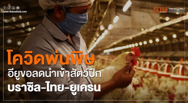 โควิดพ่นพิษอียูขอลดนำเข้าสัตว์ปีกจากบราซิล- ไทย -ยูเครน โควิดพ่นพิษอียูขอลดนำเข้าสัตว์ปีกจากบราซิล- ไทย -ยูเครน