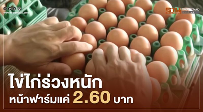 ไข่ไก่ร่วงหนัก หน้าฟาร์มแค่ 2.60 บาท ไข่ไก่ร่วงหนัก หน้าฟาร์มแค่ 2.60 บาท