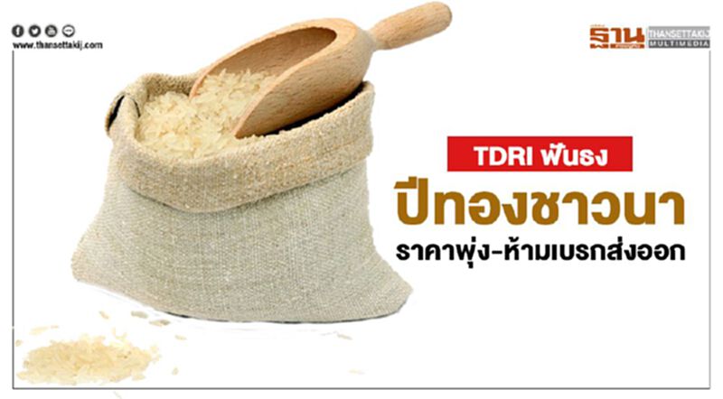 ราคาข้าวพุ่งTDRI ฟันธงปีทองชาวนา-ห้ามเบรกส่งออก ราคาข้าวพุ่งTDRI ฟันธงปีทองชาวนา-ห้ามเบรกส่งออก