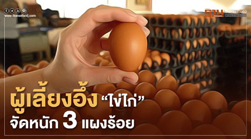 ผู้เลี้ยงอึ้ง “ไข่ไก่” จัดหนัก 3 แผงร้อย ผู้เลี้ยงอึ้ง “ไข่ไก่” จัดหนัก 3 แผงร้อย