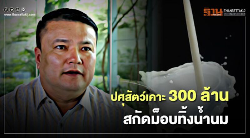 ปศุสัตว์เคาะ 300 ล้าน สกัดม็อบทิ้งน้ำนม ปศุสัตว์เคาะ 300 ล้าน สกัดม็อบทิ้งน้ำนม