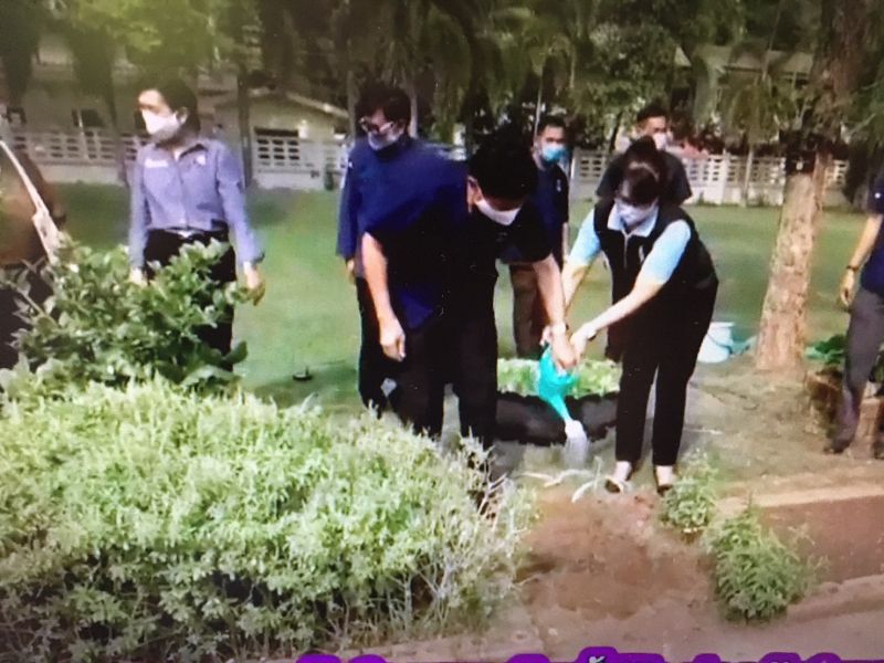 ปลูกผักสู้โควิดกลางจวนผู้ว่าฯหนองคาย