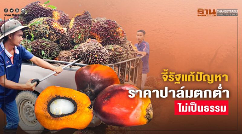 จี้รัฐแก้ปัญหาราคาปาล์มตกต่ำ-ไม่เป็นธรรม จี้รัฐแก้ปัญหาราคาปาล์มตกต่ำ-ไม่เป็นธรรม