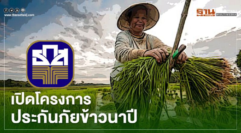 ธ.ก.ส. เปิดโครงการประกันภัยข้าวนาปี ธ.ก.ส. เปิดโครงการประกันภัยข้าวนาปี