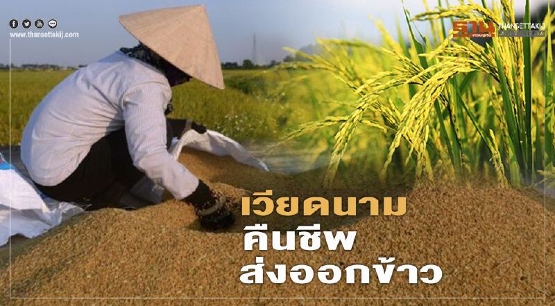 เวียดนาม ประกาศคืนชีพส่งออกข้าว 1 พ.ค.นี้
