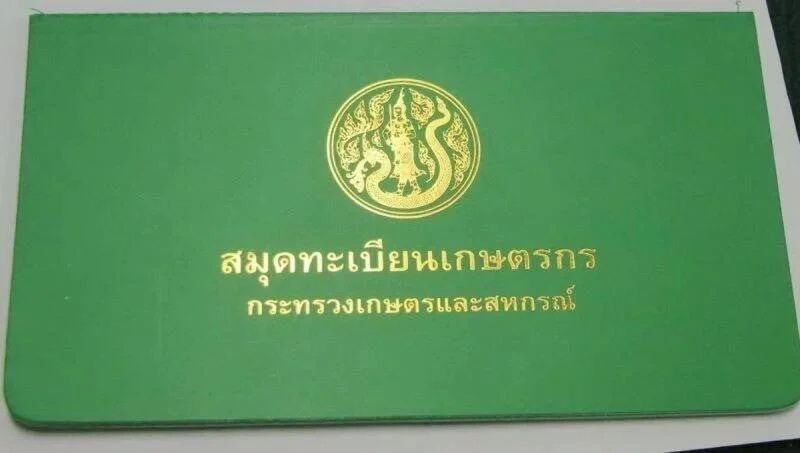​​​​​​​"เฉลิมชัย" นัด สศก. บ่ายโมงสางบัญชีจ่ายเยียวยาเกษตรกร
