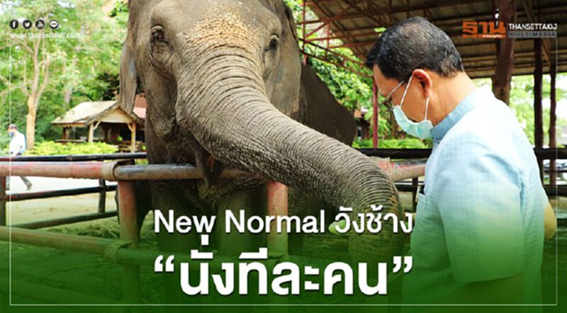 New Normalวังช้าง”นั่งทีละคน” New Normalวังช้าง”นั่งทีละคน”