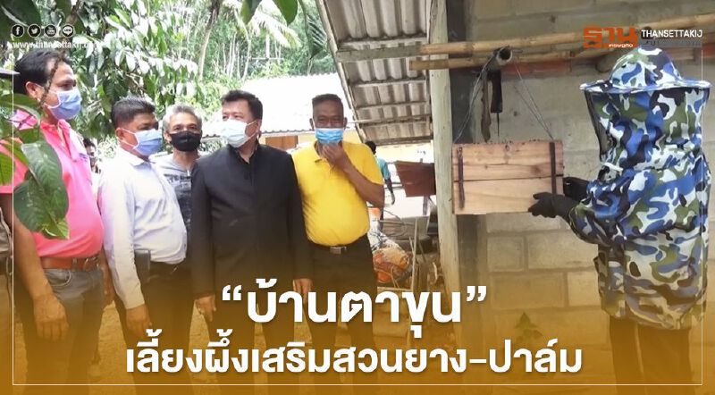 “บ้านตาขุน”เลี้ยงผึ้งเสริมสวนยาง-ปาล์ม