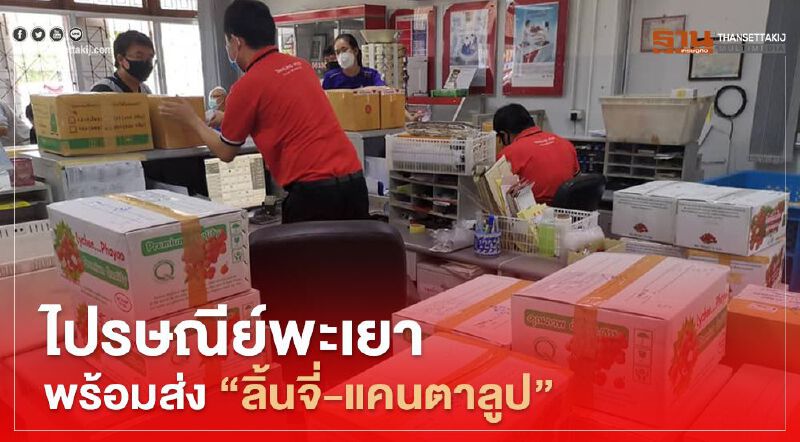  ไปรษณีย์พะเยาพร้อมส่ง”ลิ้นจี่-แคนตาลูป”