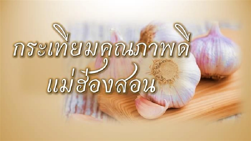 ชวนคนกาญจน์ซื้อกระเทียมแม่ฮ่องสอน ชวนคนกาญจน์ซื้อกระเทียมแม่ฮ่องสอน