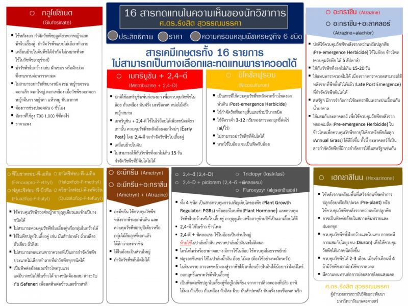 นักวิชาการเตือนรัฐระวังอุตฯอ้อยทรุดหนักมิ.ย.นี้