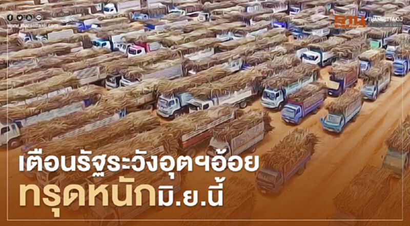 นักวิชาการเตือนรัฐระวังอุตฯอ้อยทรุดหนักมิ.ย.นี้ นักวิชาการเตือนรัฐระวังอุตฯอ้อยทรุดหนักมิ.ย.นี้