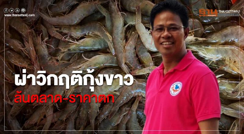 ผ่าวิกฤติกุ้งขาวล้นตลาด-ราคาตก