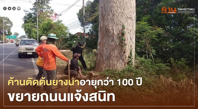 ค้านตัดต้นยางนาอายุกว่า100ปีขยายถนนแจ้งสนิท ค้านตัดต้นยางนาอายุกว่า100ปีขยายถนนแจ้งสนิท