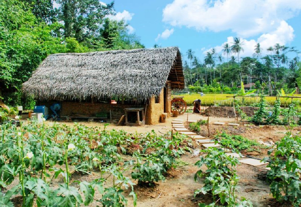 อนันตรา กลุ่มโรงแรมรักษ์โลก