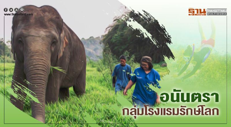 อนันตรา กลุ่มโรงแรมรักษ์โลก อนันตรา กลุ่มโรงแรมรักษ์โลก