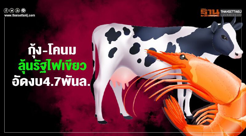 กุ้ง-โคนมลุ้นรัฐไฟเขียว  อัดงบ4.7พันล.สู้โควิด
