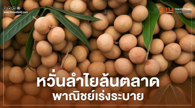 หวั่นลำไยล้นตลาด พาณิชย์เร่งระบาย