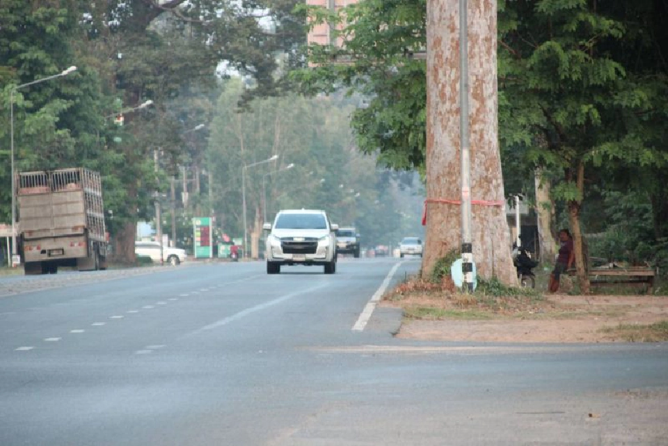 กรมทางหลวงยกเลิกโค่นต้นยางนาริมถนนยโสธร