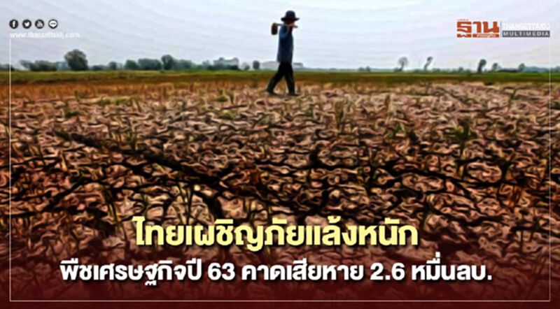 ไทยเผชิญภัยแล้งหนัก พืชเศรษฐกิจปี 63 คาดเสียหาย 2.6 หมื่นลบ. ไทยเผชิญภัยแล้งหนัก พืชเศรษฐกิจปี 63 คาดเสียหาย 2.6 หมื่นลบ.