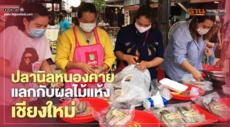 ปลานิลหนองคายแลกกับผลไม้แห้งเชียงใหม่ ปลานิลหนองคายแลกกับผลไม้แห้งเชียงใหม่