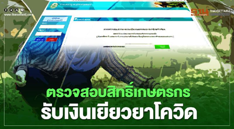 ตรวจสอบสิทธิ์เกษตรกรรับเงินเยียวยาโควิด ตรวจสอบสิทธิ์เกษตรกรรับเงินเยียวยาโควิด