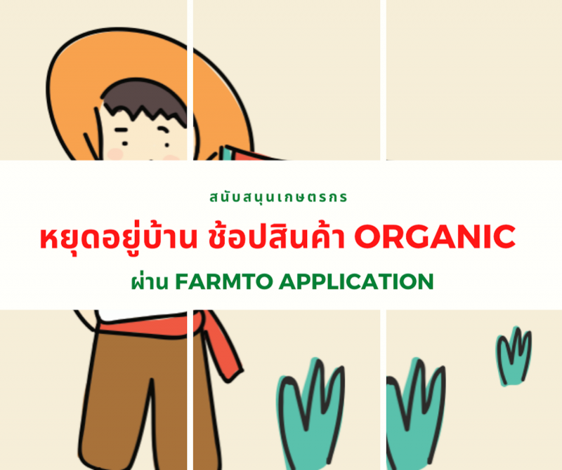 หนุน 4 แพลตฟอร์มออนไลน์ระบายสินค้าเกษตร