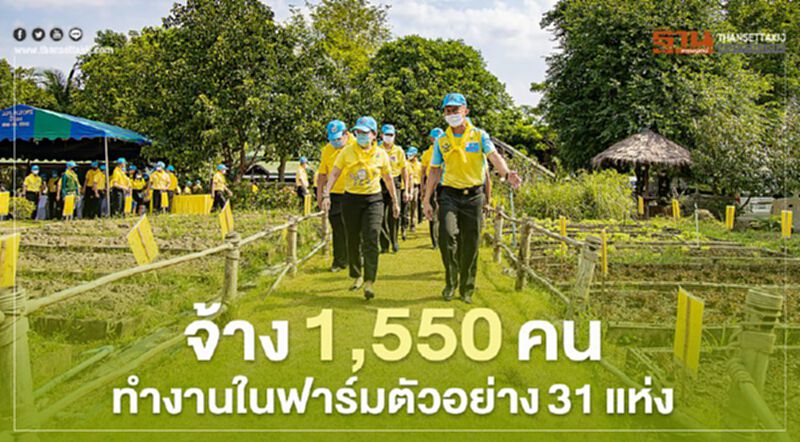 จ้าง1,550คนทำงานในฟาร์มตัวอย่าง31แห่ง จ้าง1,550คนทำงานในฟาร์มตัวอย่าง31แห่ง