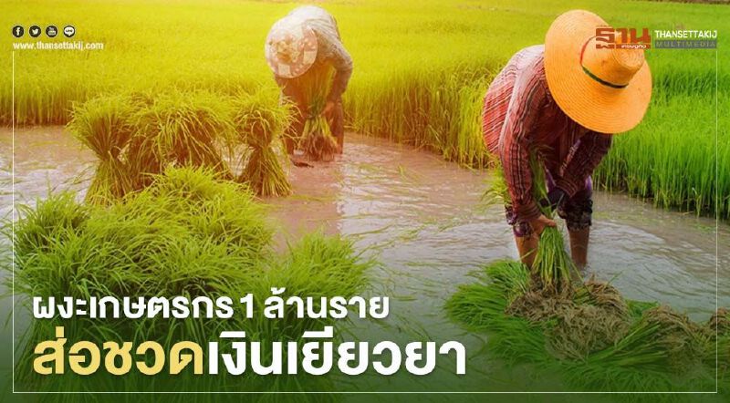 ผงะเกษตรกร 1 ล้านราย ส่อชวดเงินเยียวยา