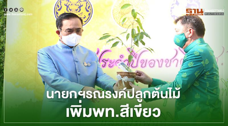 นายกฯรณรงค์ปลูกต้นไม้เพิ่มพท.สีเขียว นายกฯรณรงค์ปลูกต้นไม้เพิ่มพท.สีเขียว