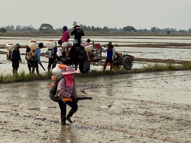 กรมชลประทานแนะอย่าเพิ่งทำนาปี รอฝนมาชัวร์ก่อน