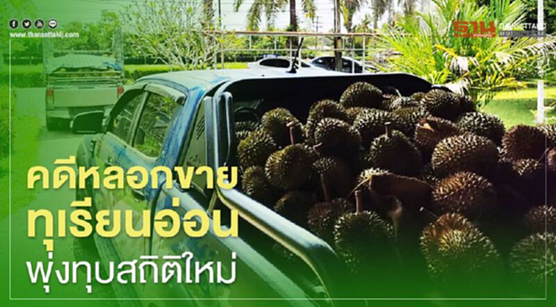 คดีหลอกขายทุเรียนอ่อนพุ่งทุบสถิติใหม่ คดีหลอกขายทุเรียนอ่อนพุ่งทุบสถิติใหม่
