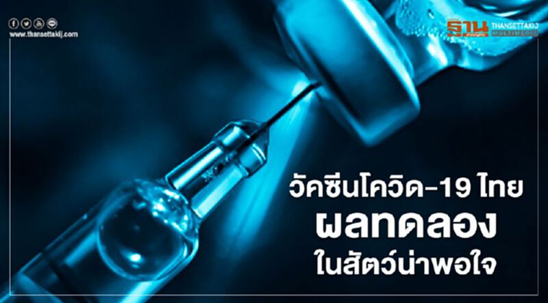 ข่าวดี วัคซีนโควิด-19ไทย ผลทดลองในสัตว์น่าพอใจ ข่าวดี วัคซีนโควิด-19ไทย ผลทดลองในสัตว์น่าพอใจ