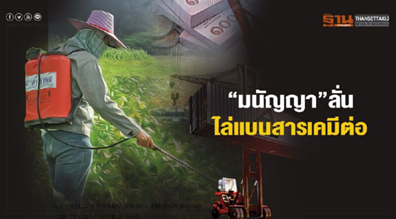 ผู้ค้าหนาว “มนัญญา”ลั่น ไล่แบนสารเคมีต่อ ผู้ค้าหนาว “มนัญญา”ลั่น ไล่แบนสารเคมีต่อ