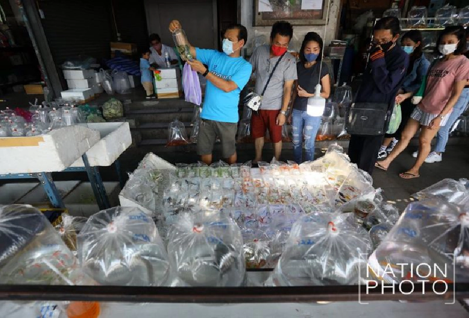 คลายล็อกดาวน์ "จตุจักร" เปิดขาย "ปลา-ต้นไม้" 