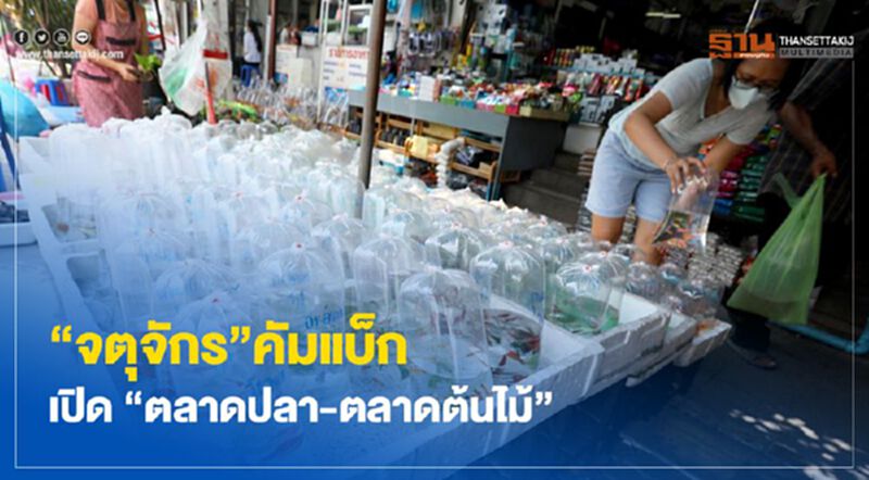 คลายล็อกดาวน์ "จตุจักร" เปิดขาย "ปลา-ต้นไม้" คลายล็อกดาวน์ "จตุจักร" เปิดขาย "ปลา-ต้นไม้"