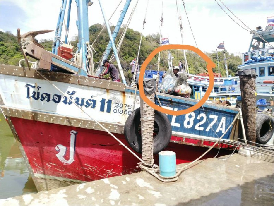 ประมงเก็บขยะคืนฝั่งฝ่าโควิด