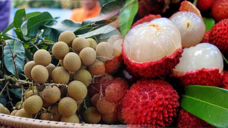 ลิ้นจี่-ลำใย3หมื่นตันต่อแถว “เซ็นทรัล-บิ๊กซี”เปิดห้างรับ