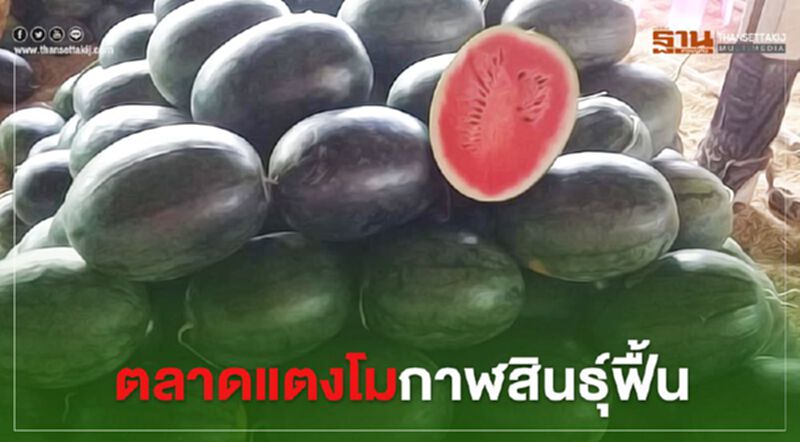 ตลาดแตงโมกาฬสินธุ์คึกคัก หลังผ่อนปรนมาตรการโควิด ตลาดแตงโมกาฬสินธุ์คึกคัก หลังผ่อนปรนมาตรการโควิด