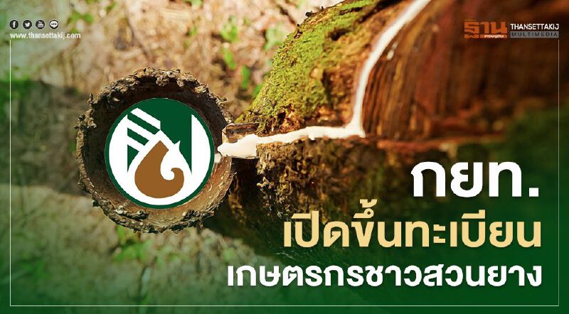 กยท.เปิดขึ้นทะเบียนเกษตรกรชาวสวนยาง