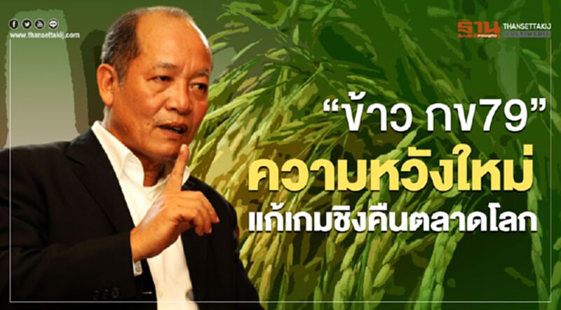 “ข้าวกข79” ความหวังใหม่แก้เกมชิงคืนตลาดโลก “ข้าวกข79” ความหวังใหม่แก้เกมชิงคืนตลาดโลก