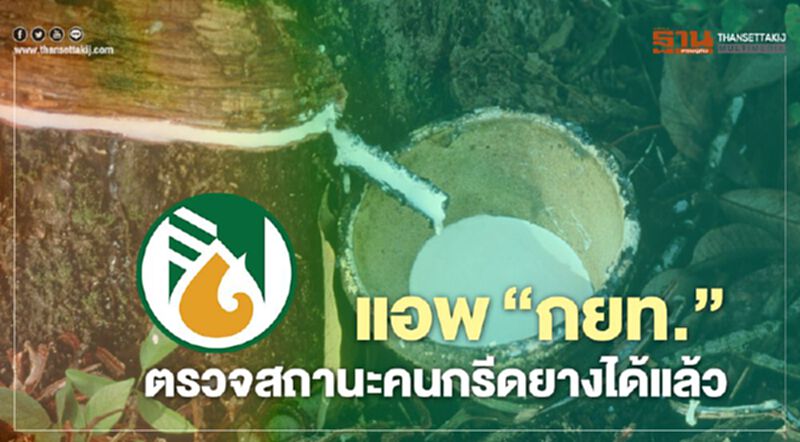 แอพ “กยท." ตรวจสถานะคนกรีดยางได้แล้ว แอพ “กยท." ตรวจสถานะคนกรีดยางได้แล้ว