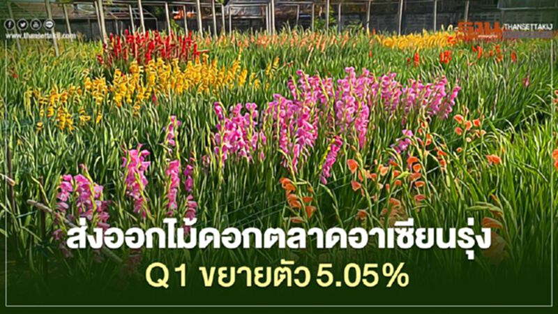 ส่งออกไม้ดอกตลาดอาเซียนรุ่ง Q 1 ขยายตัว5.05% ส่งออกไม้ดอกตลาดอาเซียนรุ่ง Q 1 ขยายตัว5.05%