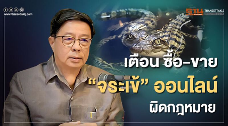 เตือน ซื้อ-ขาย “จระเข้” ออนไลน์ ผิดกฎหมาย เตือน ซื้อ-ขาย “จระเข้” ออนไลน์ ผิดกฎหมาย