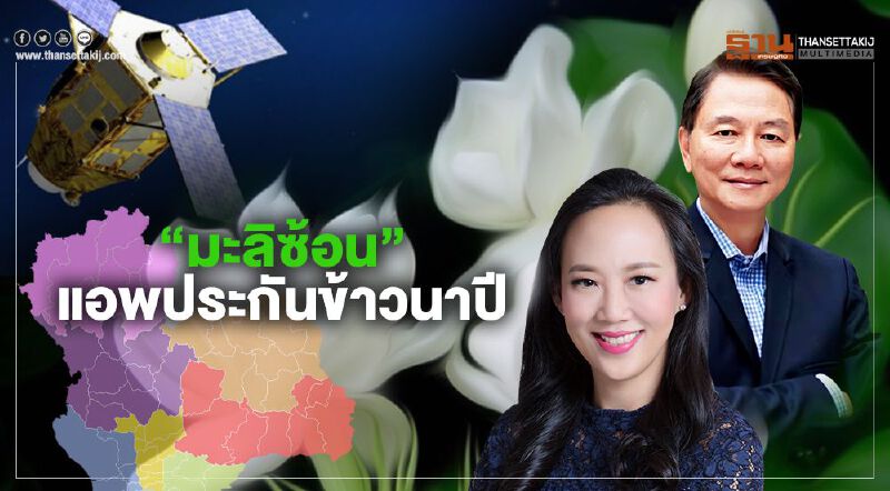 ส.วินาศภัยไทยส่ง"มะลิซ้อน"  แอพวิเคราะห์ภัยนำร่องประกันข้าวนาปี